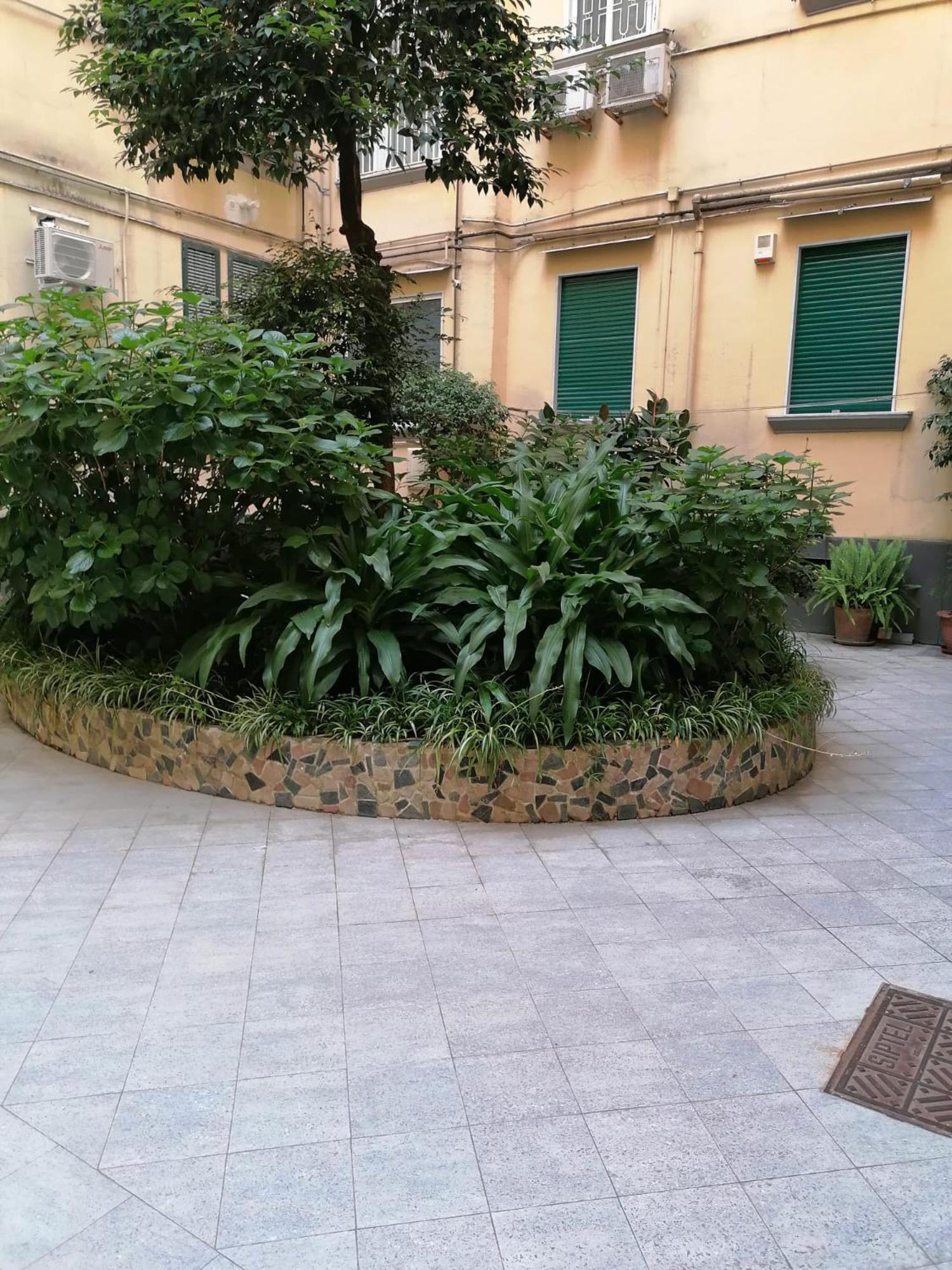 Apartamento Terrazzo 44 *